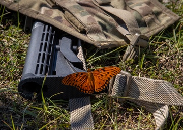Butterflies hang out with Alabama Guardsmen