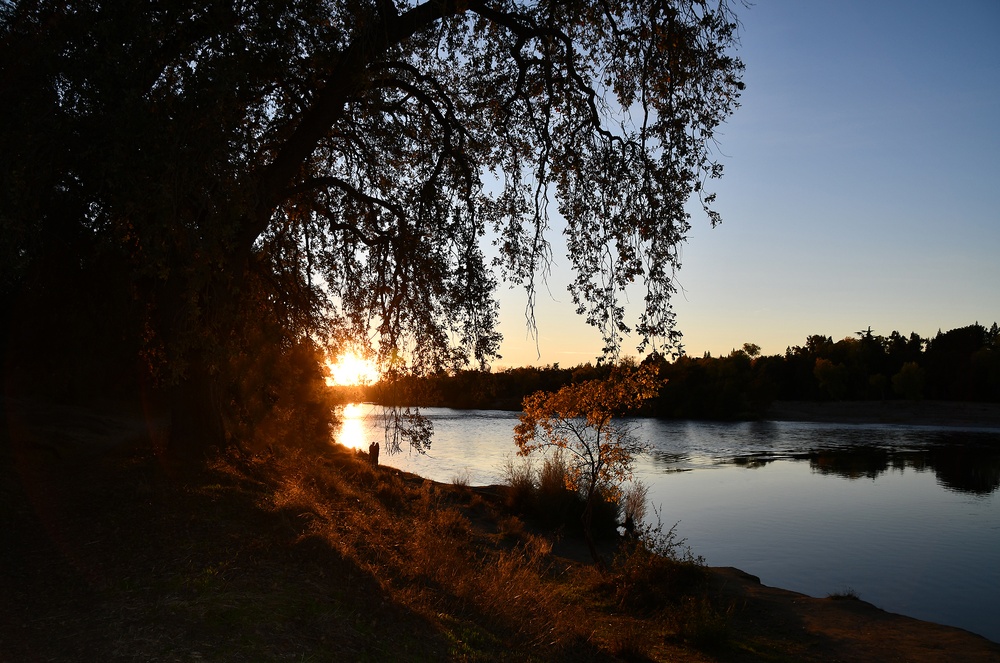 The American River at sunset