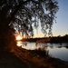 The American River at sunset