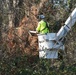 Hurricane Helene Recovery: Temporary Debris Management Site in Jenkins County, Georgia.