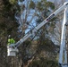 Hurricane Helene Recovery: Temporary Debris Management Site in Jenkins County, Georgia.