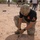 1st Armored Division Torch Week - 2024
