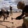 1st Armored Division Torch Week - 2024