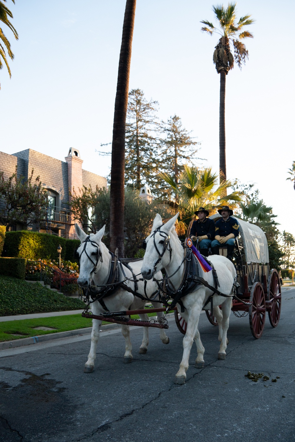 From Fort Cavazos to Pasadena: 1CD HCD Rides in Rose Parade