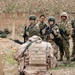 Coalition Forces Fire Away