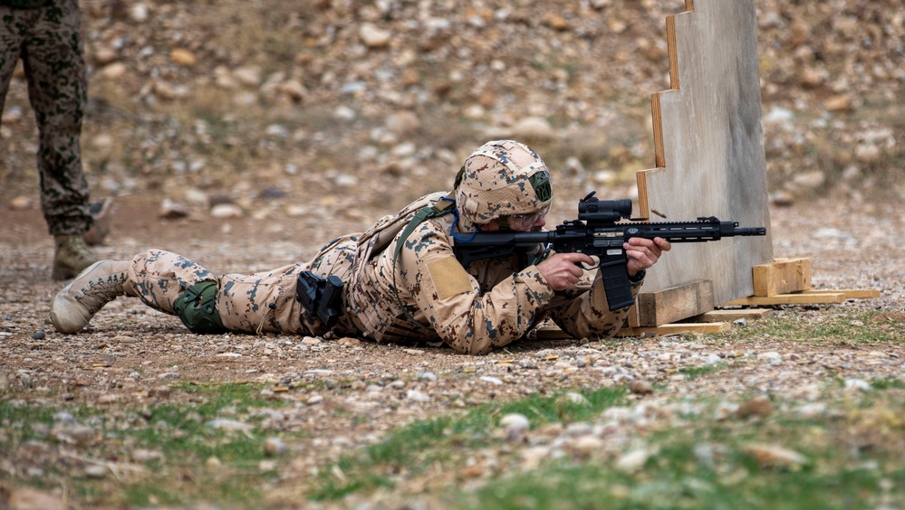 Coalition Forces Fire Away