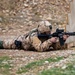Coalition Forces Fire Away