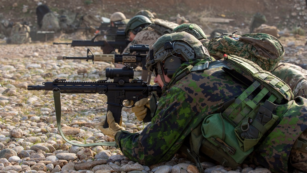 Coalition Forces Fire Away