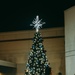 MCAS Yuma Christmas tree Lighting