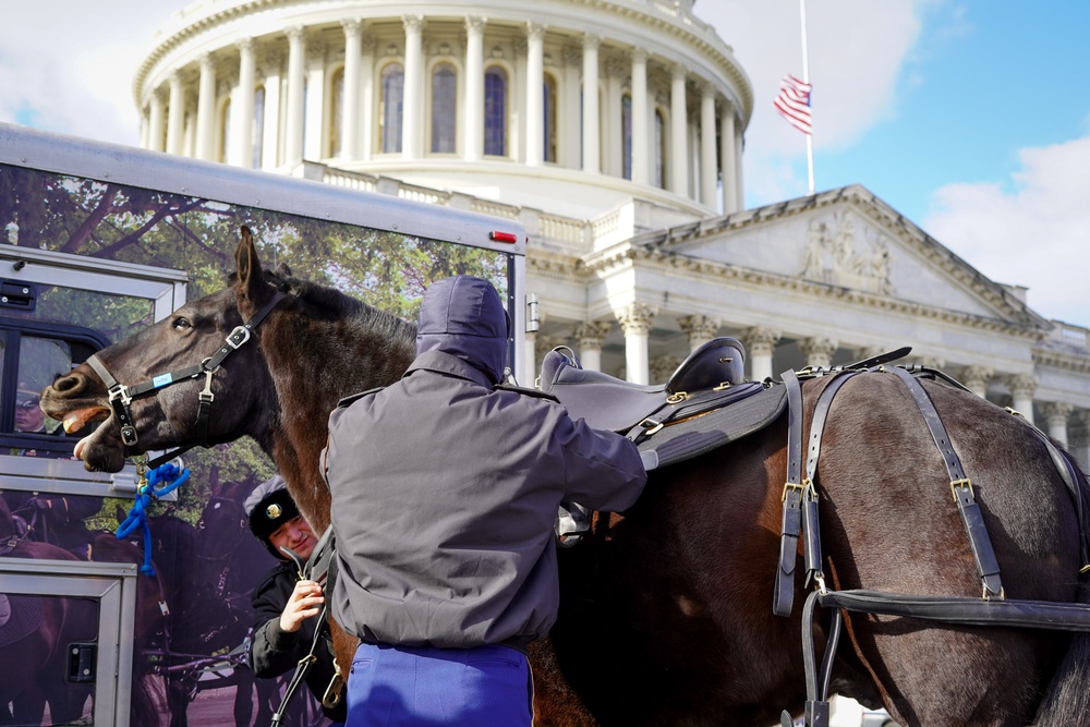 Caisson Detachment prepares for the State Funeral of  President Jimmy Carter