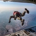 US, French paratroopers conduct joint training over Djibouti