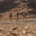 Marines participate in 7th Marines Regiment Infantry Rife Squad Competition