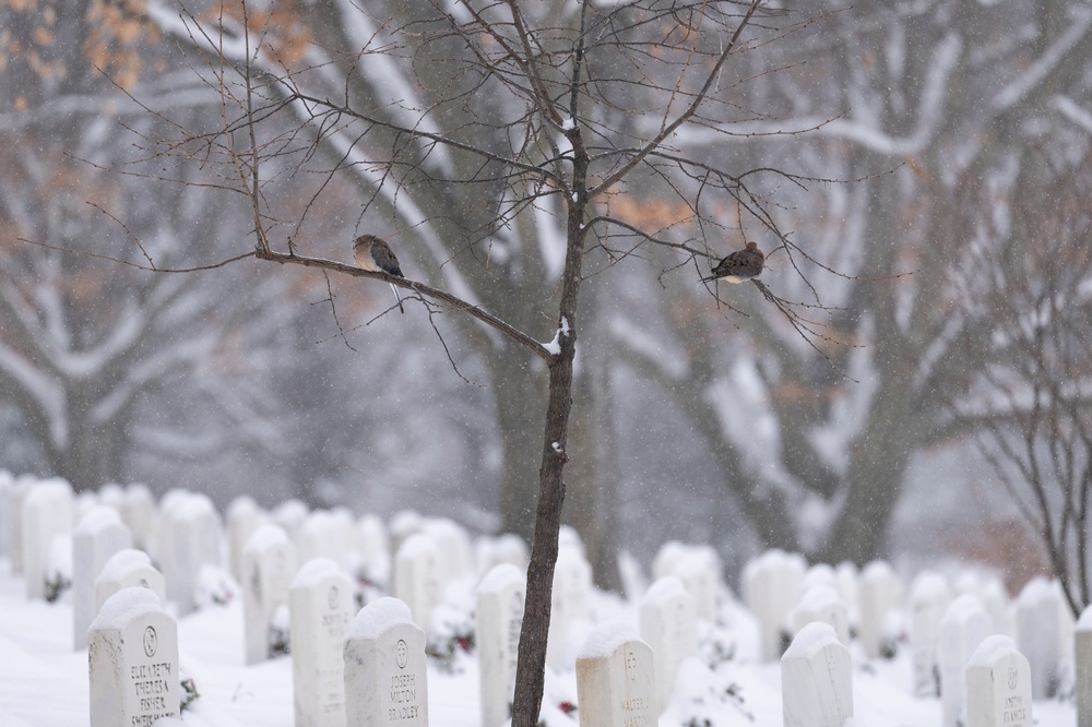 First Snow of 2025