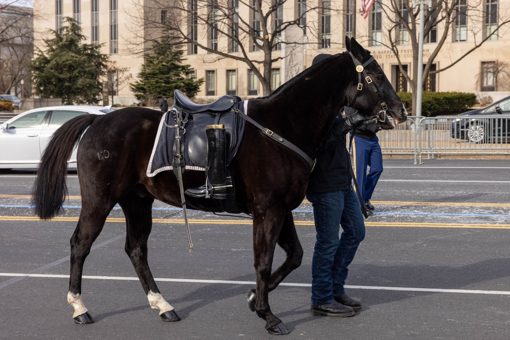State Funeral Rehearsal