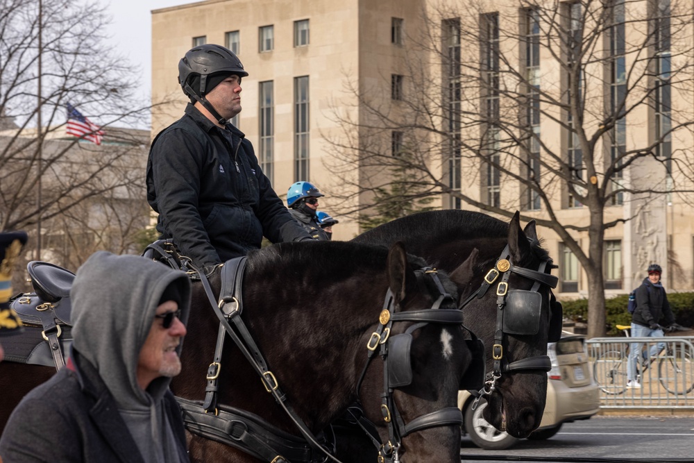 State Funeral Rehearsal