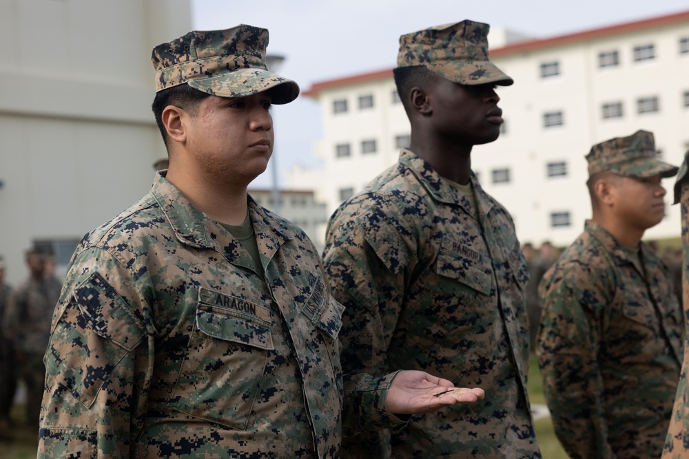 4th Marines NCO Promotions