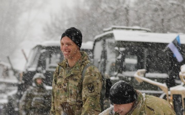 U.S. Armed Forces participate in remembrance Estonian War of Independence ceasefire ceremony