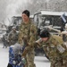 U.S. Armed Forces participate in remembrance Estonian War of Independence ceasefire ceremony