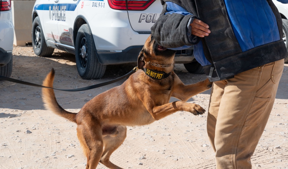 378th ESFS conduct Military Working Dog training