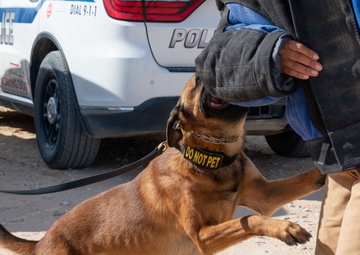 378th ESFS conduct Military Working Dog training