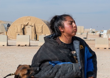 378th ESFS conduct Military Working Dog training