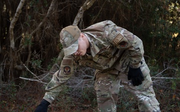 Wildlife Control: Racoon trapping and release on Hurlburt Field