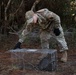 Wildlife Control: Racoon trapping and release on Hurlburt Field