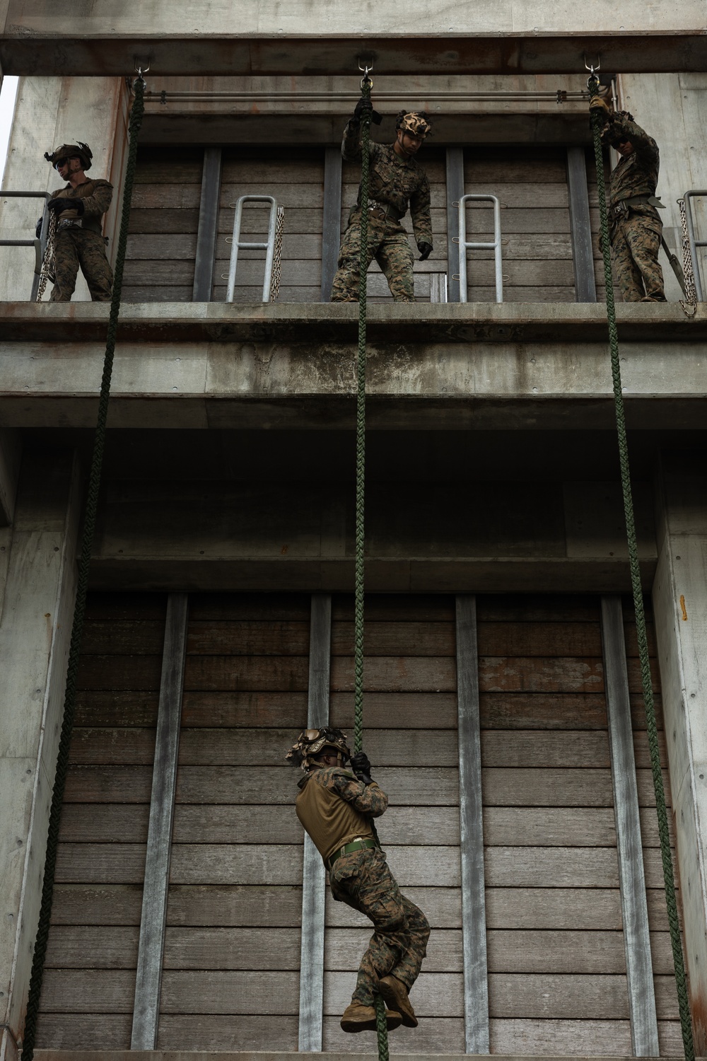 31st MEU | BLT 2/4 completes helicopter rope suspension technique course