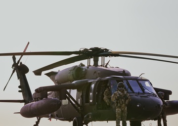 Task Force Shikra Arrives for Desert Talon Exercise