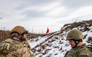 Multinational EOD soldiers assigned to NATO-led KFOR mission conduct proper disposal of unexploded ordnance