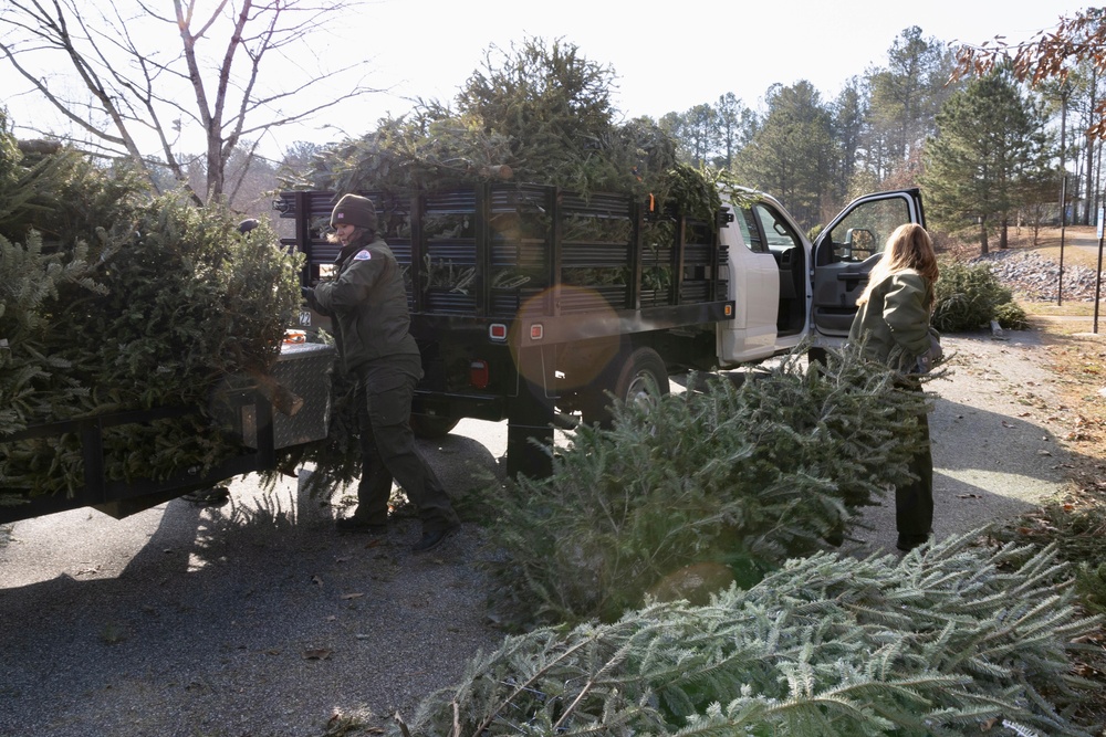 USACE Park Rangers Transport Donated Trees for Habitat Program