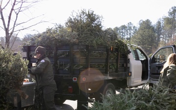 USACE Park Rangers Transport Donated Trees for Habitat Program