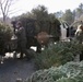 USACE Park Rangers Transport Donated Trees for Habitat Program