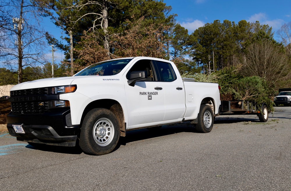 Park Ranger Prepares Christmas Trees for Transport