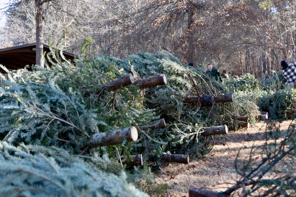 Donated Christmas Trees Ready for Fish Habitat Construction