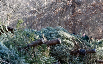 Donated Christmas Trees Ready for Fish Habitat Construction