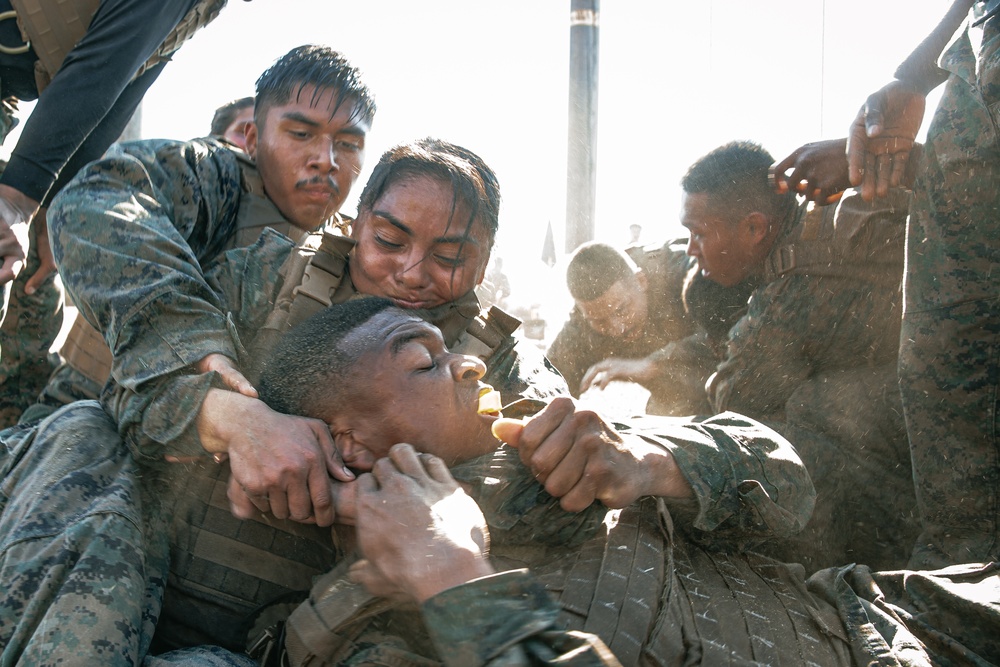 Marine Corps Martial Arts Instructor Course Class 19-24, The Culminating Event