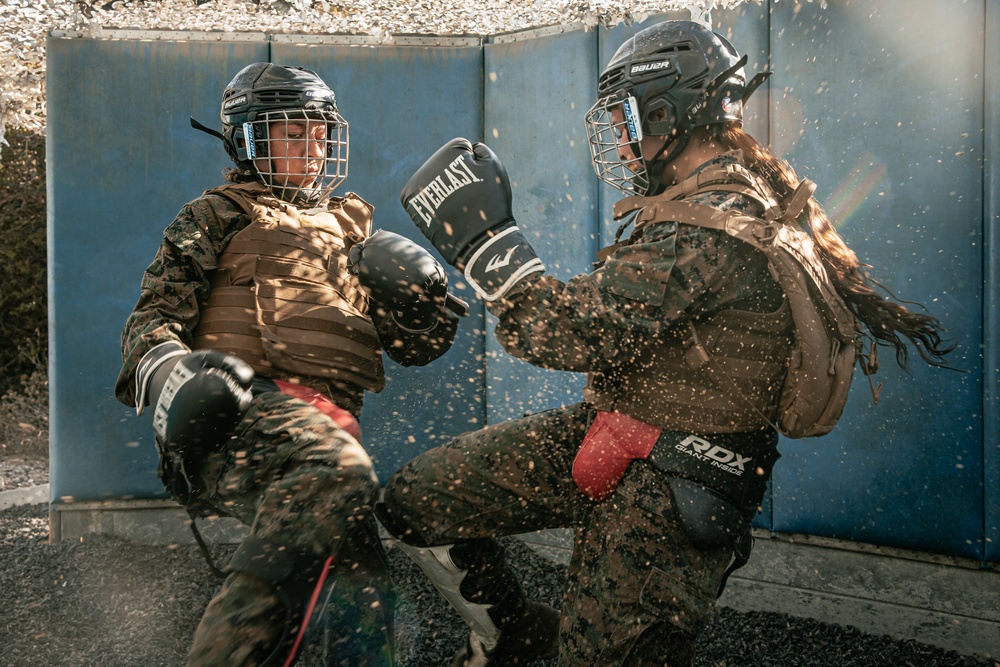 Marine Corps Martial Arts Instructor Course Class 19-24, The Culminating Event