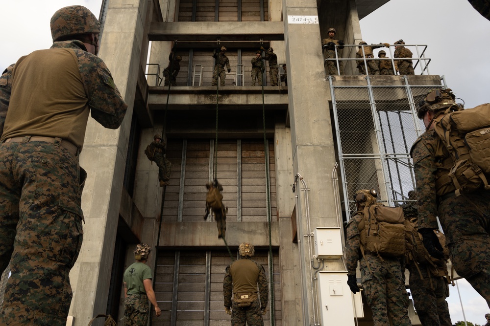 31st MEU | BLT 2/4 completes helicopter rope suspension technique course