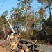 Hurricane Helene Recovery: Temporary Debris Management Site in Montgomery County, Georgia.