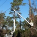 Hurricane Helene Recovery: Temporary Debris Management Site in Montgomery County, Georgia.