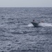 USS Higgins Conducts Training Drills