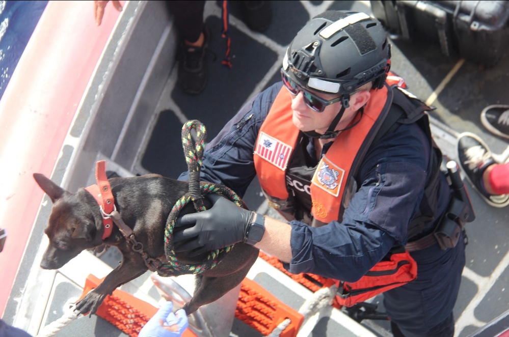 Coast Guard repatriates 20 migrants, 2 dogs to Cuba