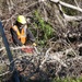 Hurricane Helene Recovery: Temporary Debris Management Site in Candler County, Georgia.