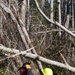 Hurricane Helene Recovery: Temporary Debris Management Site in Candler County, Georgia.
