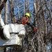 Hurricane Helene Recovery: Temporary Debris Management Site in Candler County, Georgia.