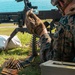 Continuous Training: CLC-33 and HQBN Marines sharpen warfighting skills during quarterly FEX