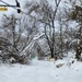 1st Signal Korean workers overcome treacherous conditions to keep communications lines open during winter