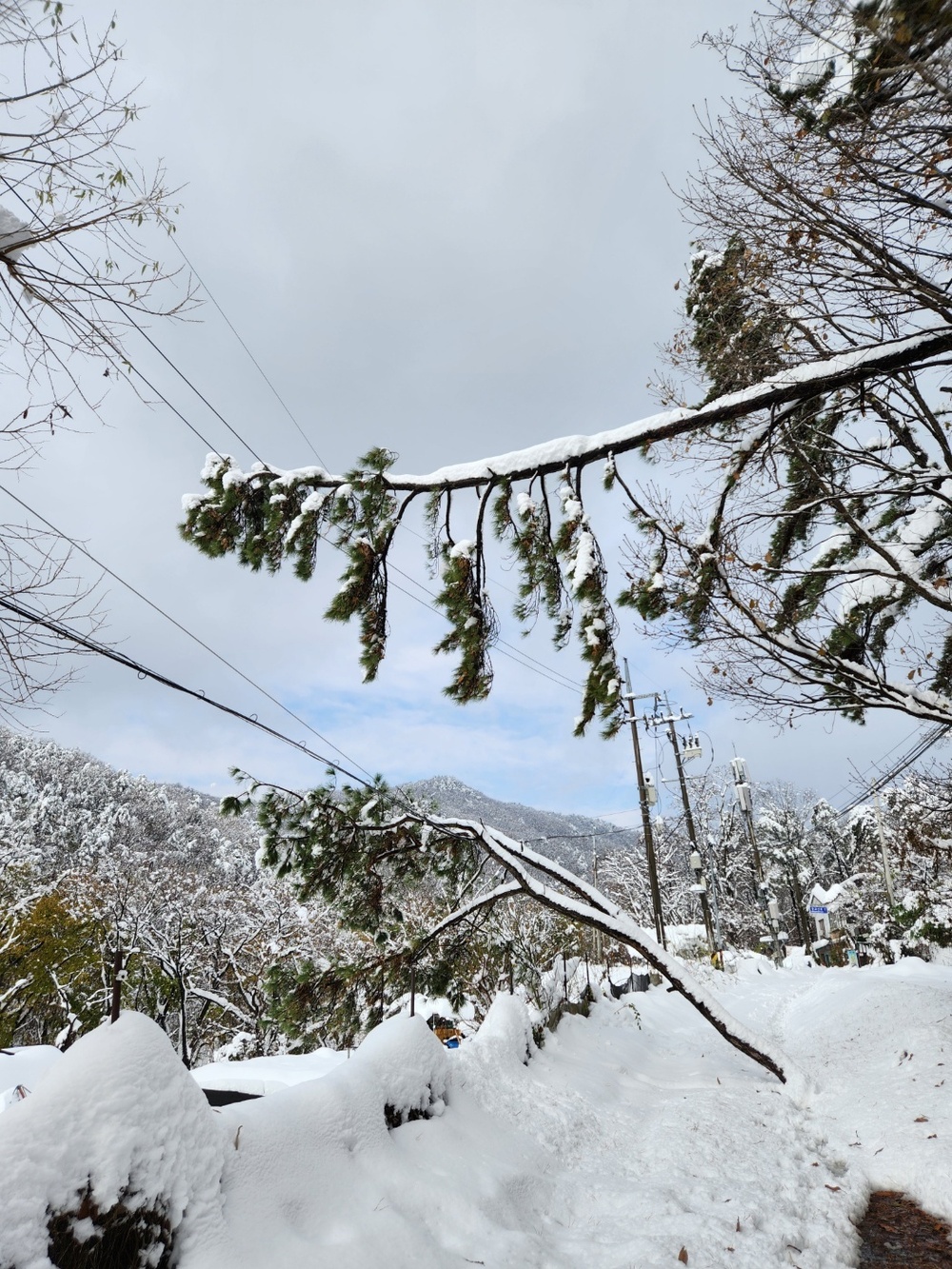 1st Signal Korean workers overcome treacherous conditions to keep communications lines open during winter