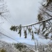 1st Signal Korean workers overcome treacherous conditions to keep communications lines open during winter